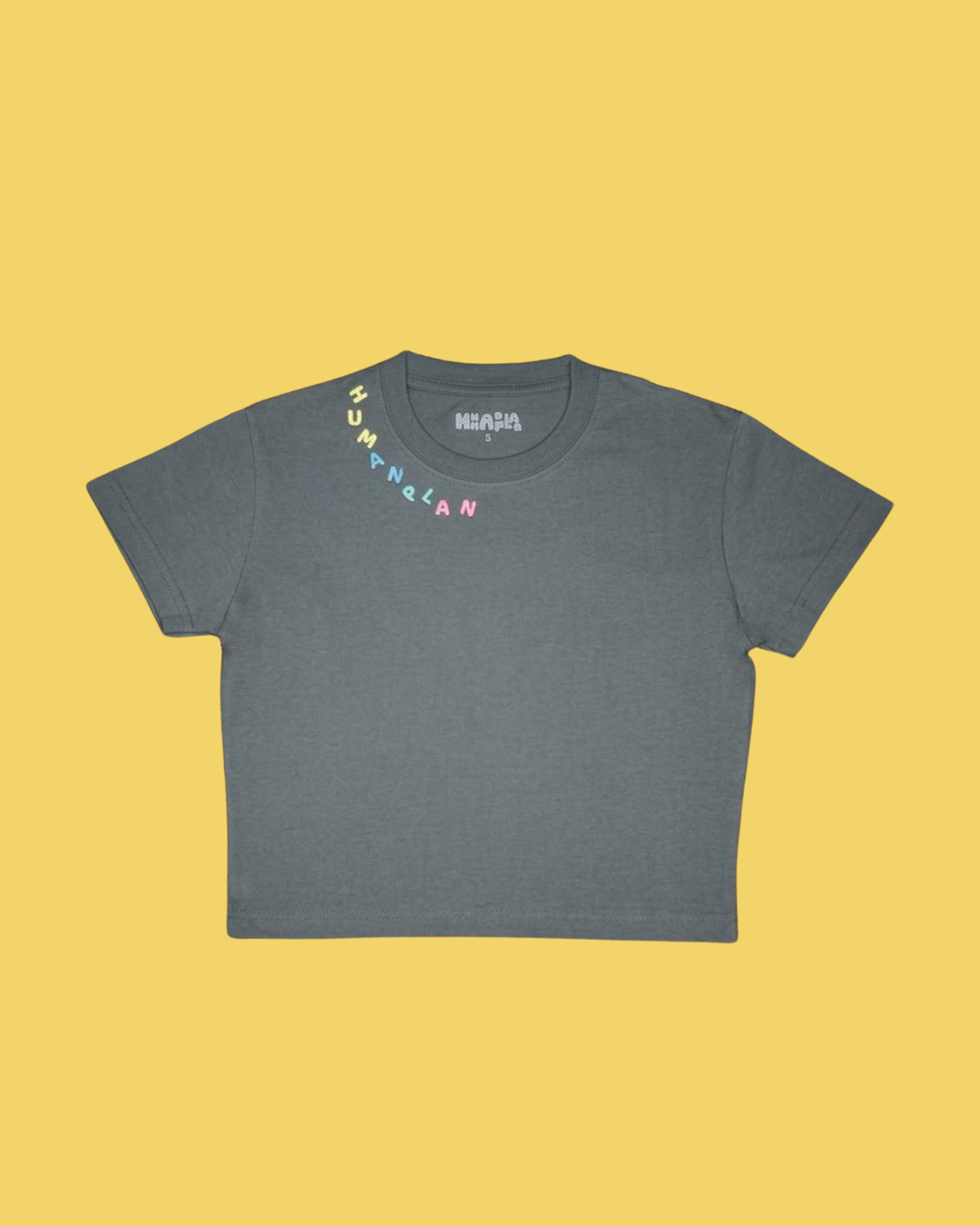 Human Plan Neck Letter Fitted Crop Tee Grey