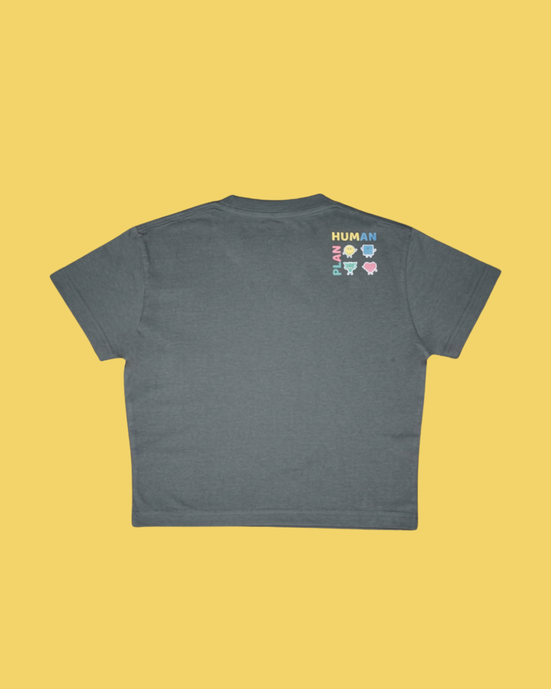 Human Plan Neck Letter Fitted Crop Tee Grey